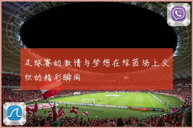 足球赛的激情与梦想在绿茵场上交织的精彩瞬间