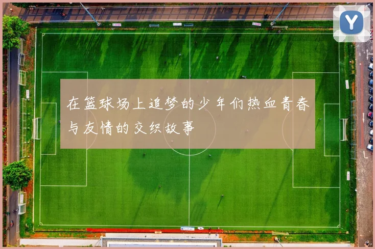 在篮球场上追梦的少年们热血青春与友情的交织故事