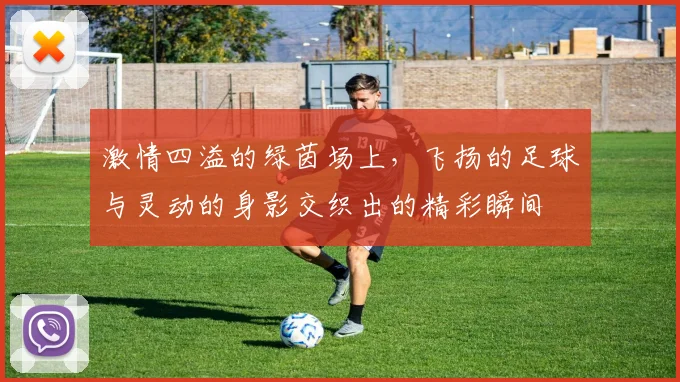 激情四溢的绿茵场上，飞扬的足球与灵动的身影交织出的精彩瞬间