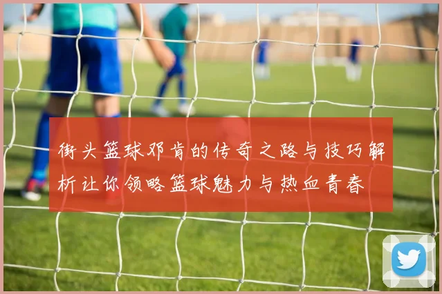 街头篮球邓肯的传奇之路与技巧解析让你领略篮球魅力与热血青春