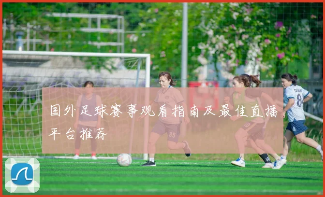 国外足球赛事观看指南及最佳直播平台推荐