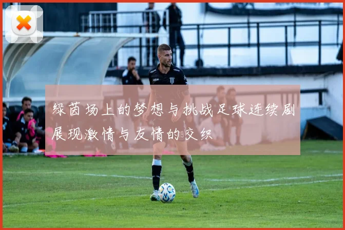 绿茵场上的梦想与挑战足球连续剧展现激情与友情的交织